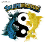 Tai Chi Master 777 logo